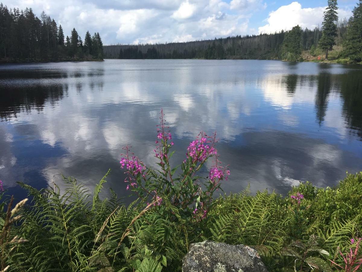 Appartamento Harznest Braunlage Esterno foto