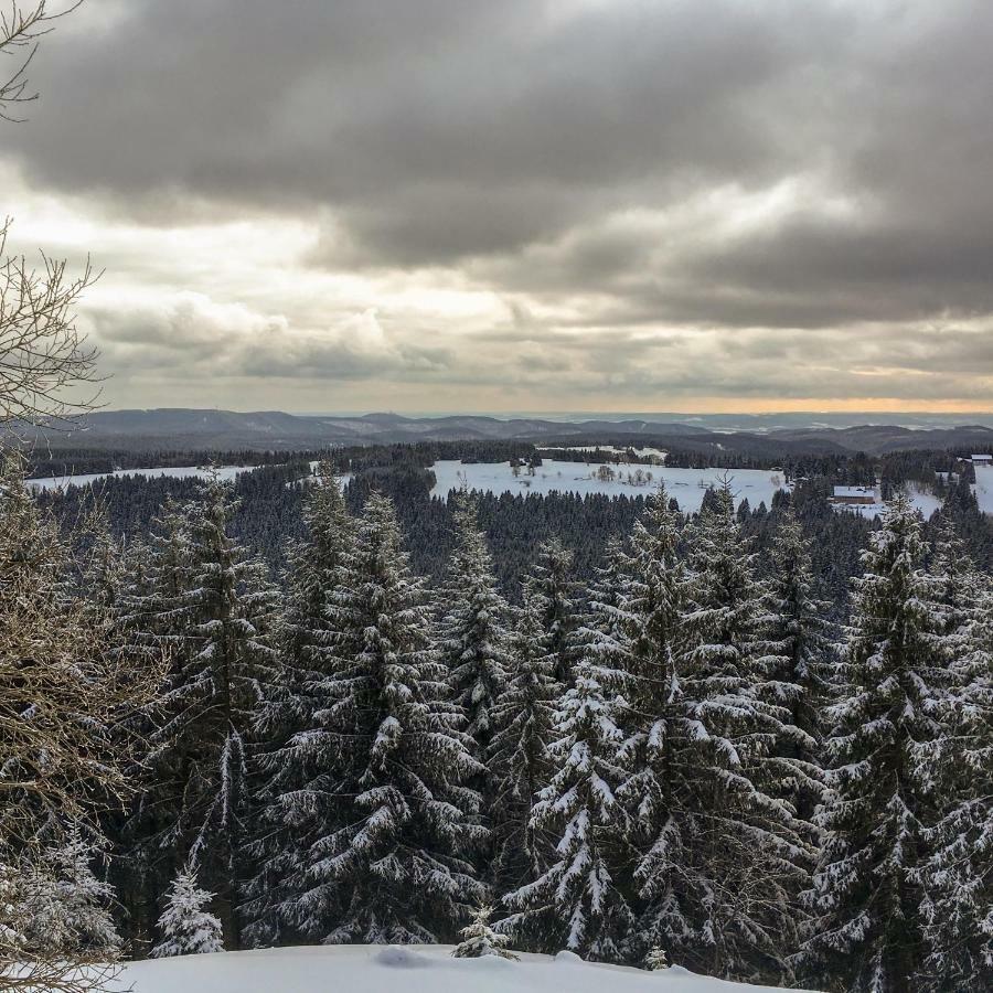 Appartamento Harznest Braunlage Esterno foto