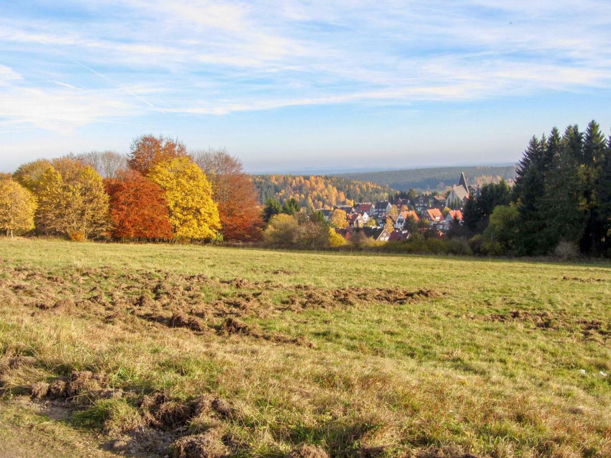 Appartamento Harznest Braunlage Esterno foto