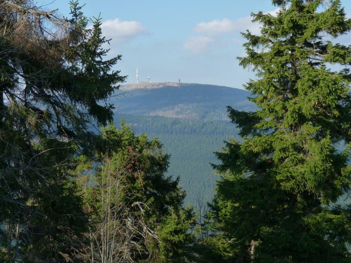 Appartamento Harznest Braunlage Esterno foto
